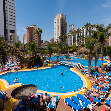 Medplaya Hotel Flamingo Oasis Benidorm Exterior photo